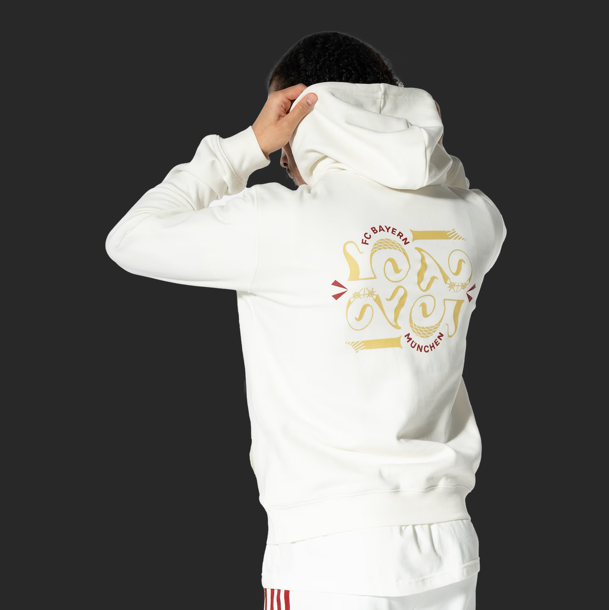 Bayern Munich Hoodie 125th Anniversary - Gray