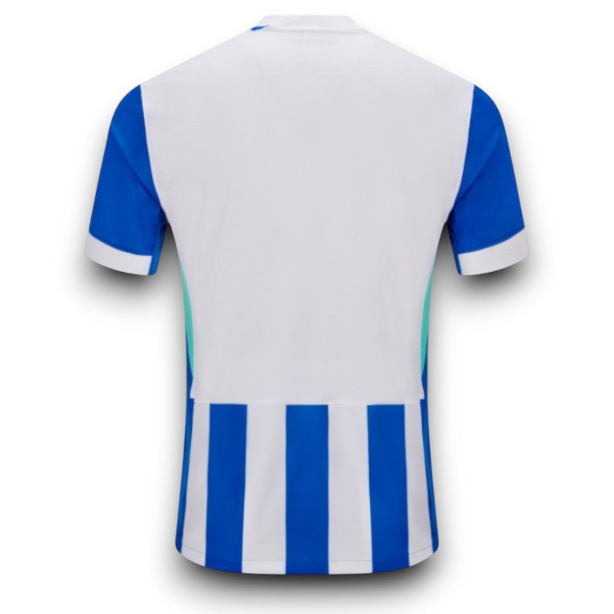 Brighton Home Jersey 2025/26