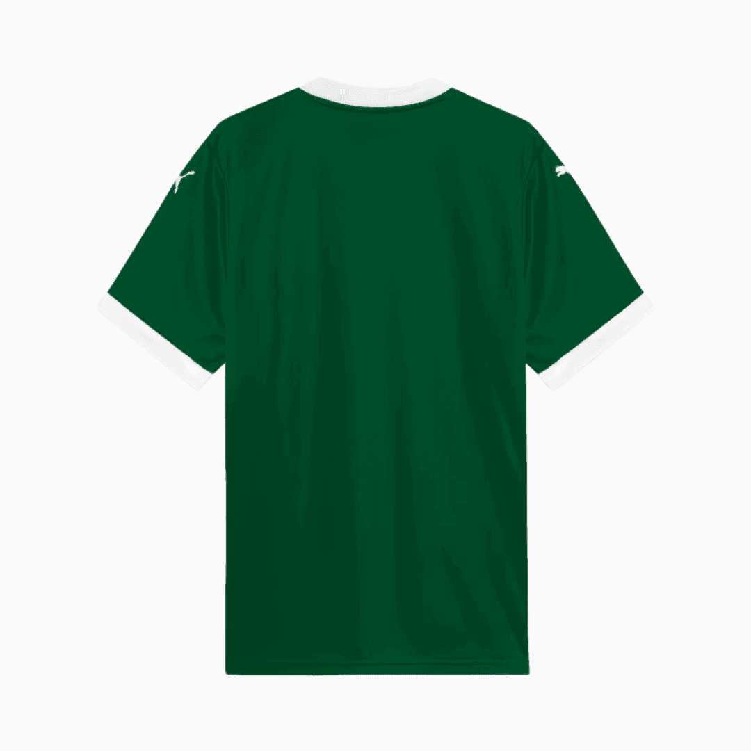 Camisa Puma Palmeiras 2025/26 I - Paulinho N° 10
